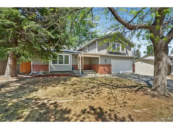57 Yank, Lakewood, CO 80228