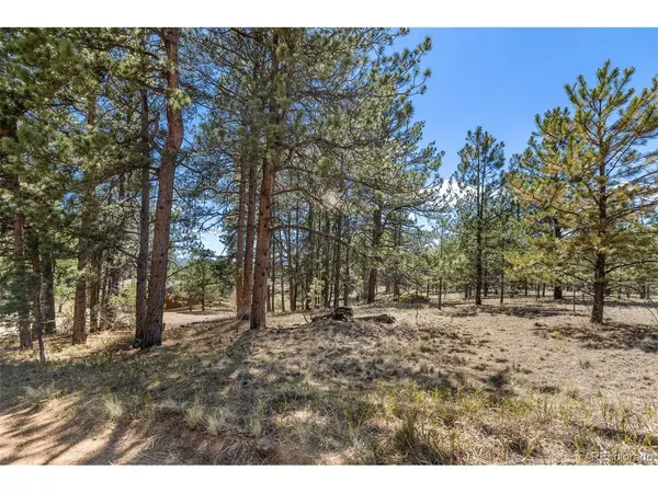 349 Rhyolite, Florissant, CO 80816