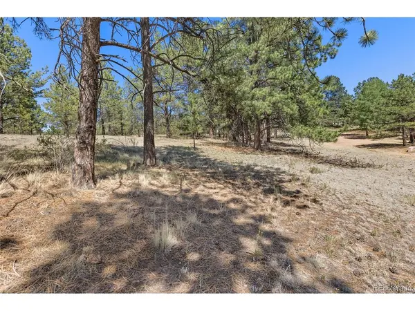 349 Rhyolite, Florissant, CO 80816