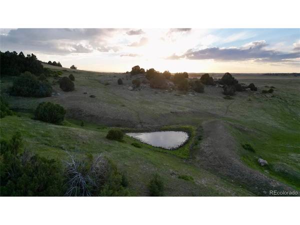 25675 County Road 21, Elbert, CO 80106