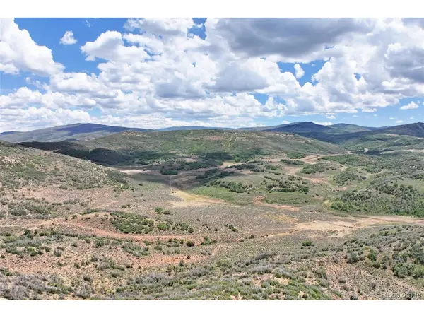 0 Harrison Creek, Collbran, CO 81624