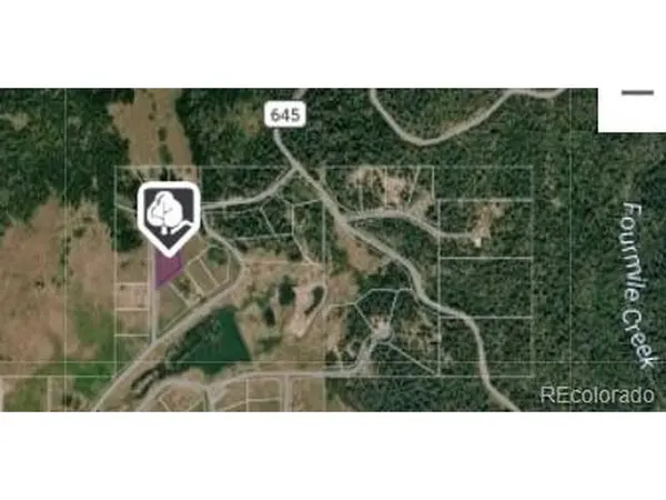 212 Camp Robber, Creede, CO 81130