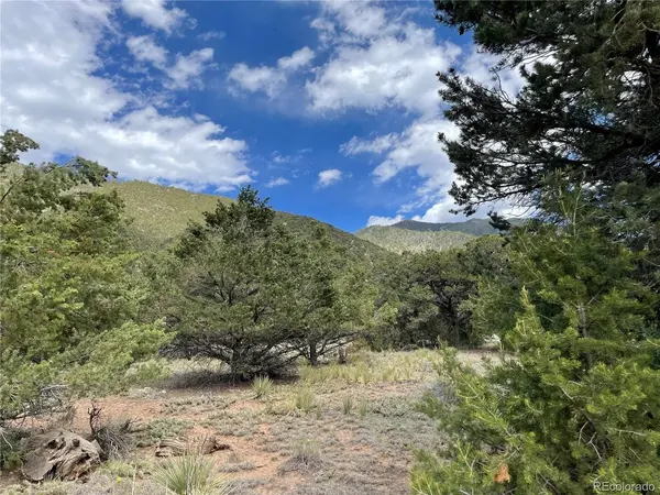 4303 Fallen Tree, Crestone, CO 81131