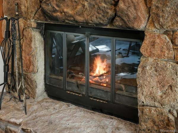 29 Blue Spruce, Evergreen, CO 80439