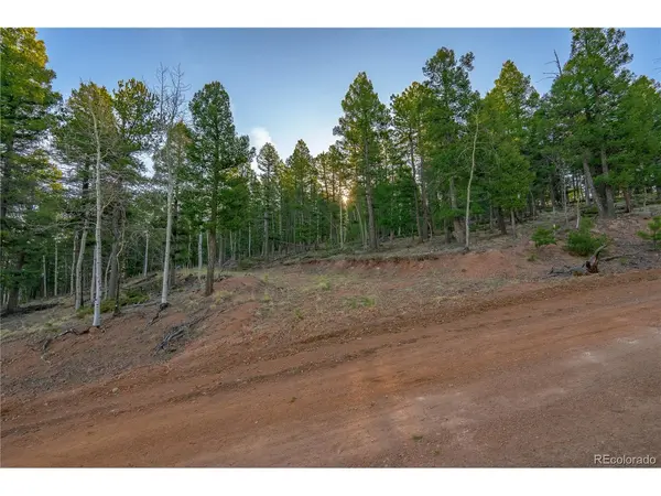 88 Malmsey, Divide, CO 80814