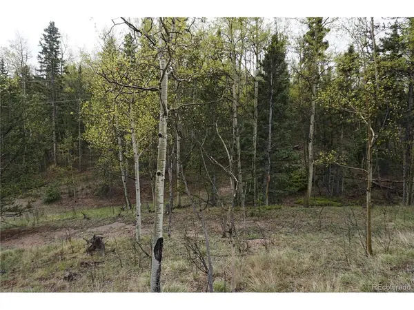 Vacant Land, Cripple Creek, CO 80813