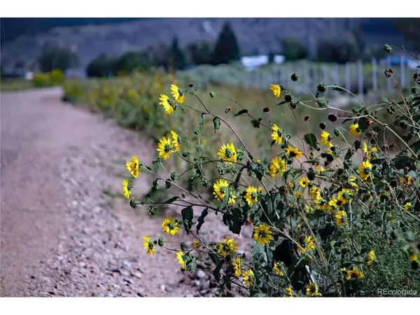 123 County Road 13.2, Garcia, CO 81152