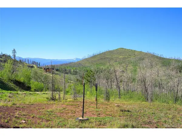 463 County Road 414, Granby, CO 80446