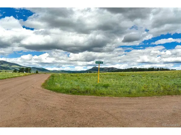 4782 County Road 71, Guffey, CO 80820