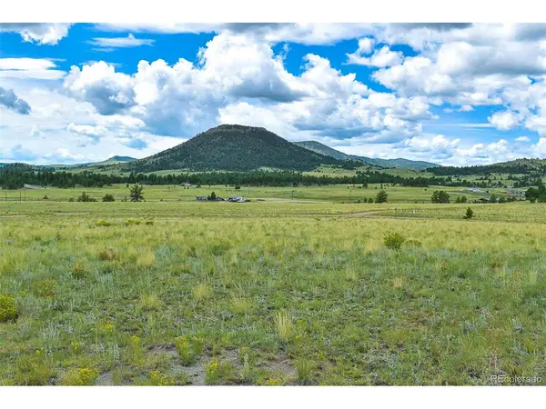 4782 County Road 71, Guffey, CO 80820