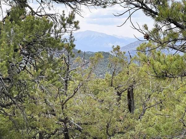 3282 Lower Camp, Howard, CO 81233