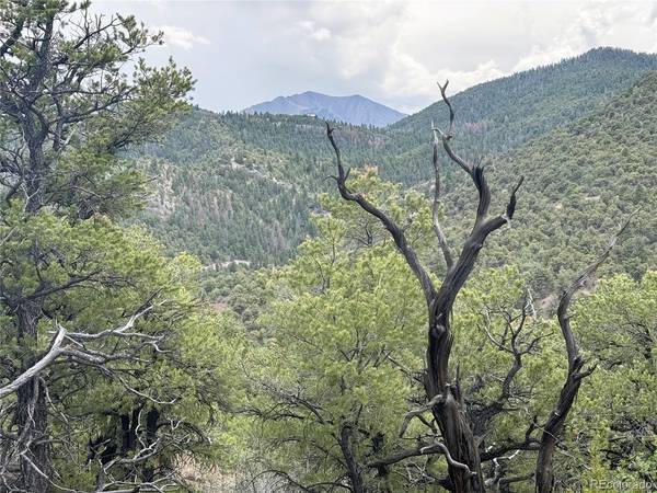 3282 Lower Camp,  Howard,  CO 81233