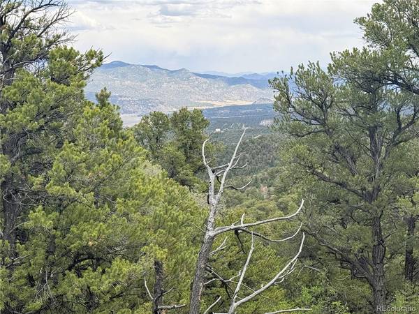 3282 Lower Camp, Howard, CO 81233