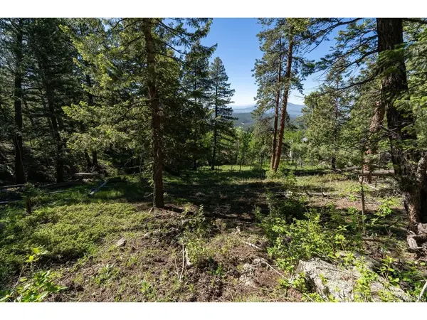 11698 Nichols, Conifer, CO 80433