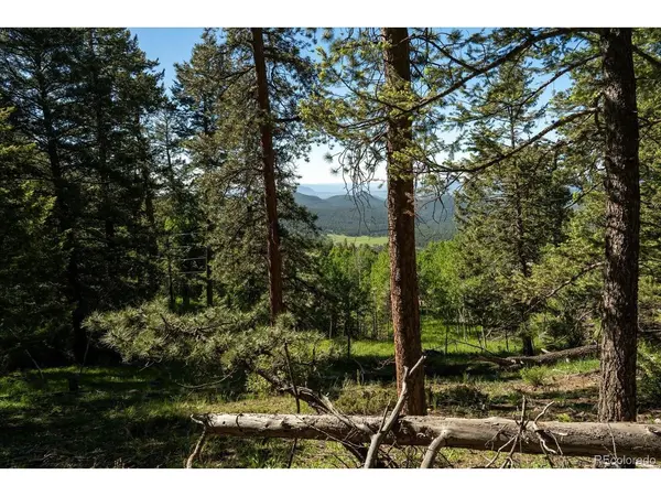 11698 Nichols, Conifer, CO 80433