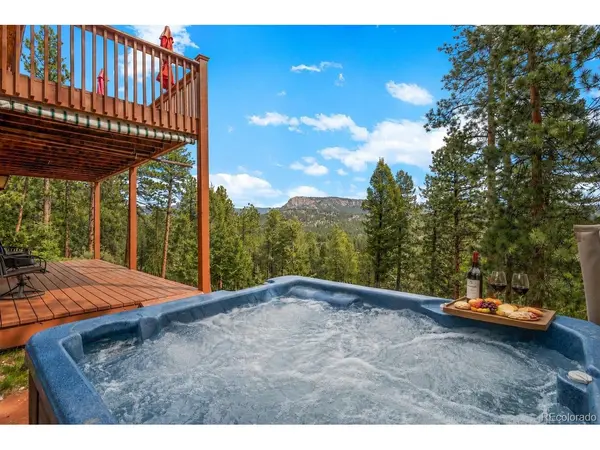 181 Catamount Ridge, Bailey, CO 80421