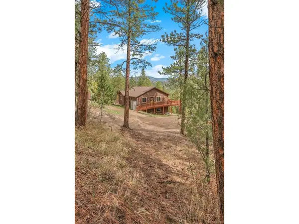 181 Catamount Ridge, Bailey, CO 80421