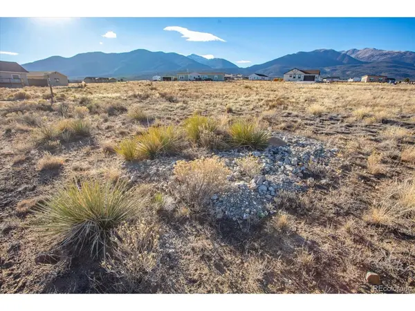 16670 Allen, Buena Vista, CO 81211