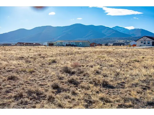 16670 Allen, Buena Vista, CO 81211