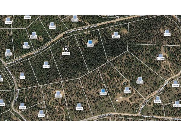 200 Desparado, Bailey, CO 80421
