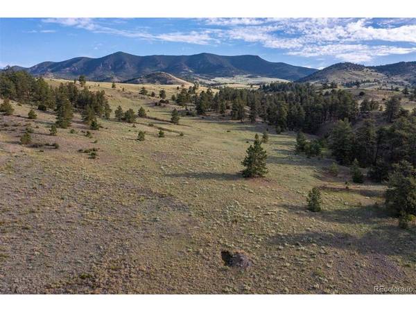 0 Big Buck,  Guffey,  CO 80820