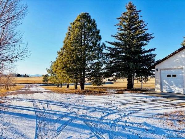 24988 Ben Kelly, Elbert, CO 80106