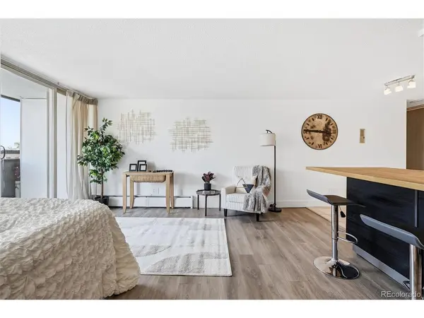 799 Dahlia #305, Denver, CO 80220