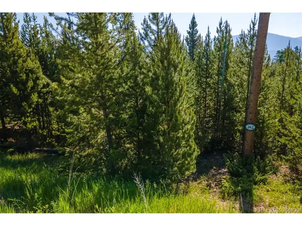 242 GCR 4571, Grand Lake, CO 80447