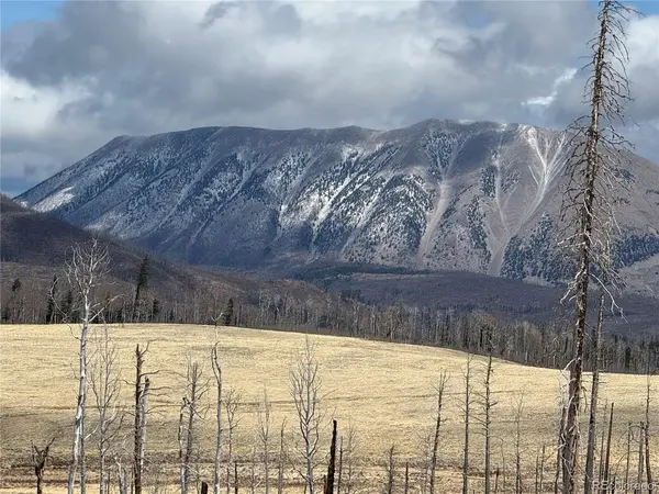 2415 Petito, Fort Garland, CO 81133