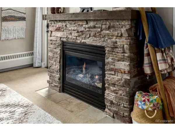 300 Base Camp #113, Granby, CO 80446