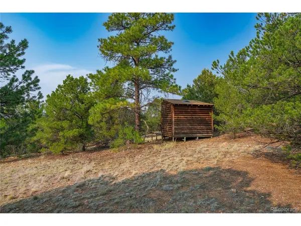 65 Elkhorn, Cotopaxi, CO 81223