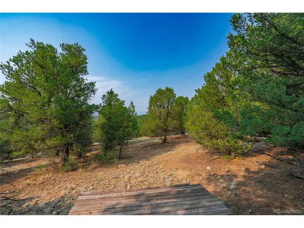 65 Elkhorn, Cotopaxi, CO 81223