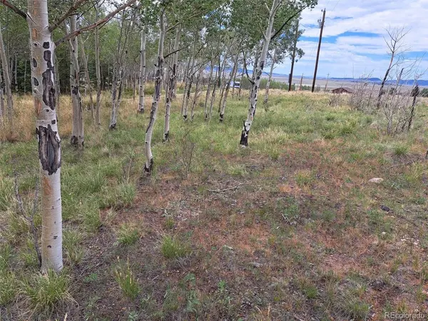 0 Georgia, Jefferson, CO 80456