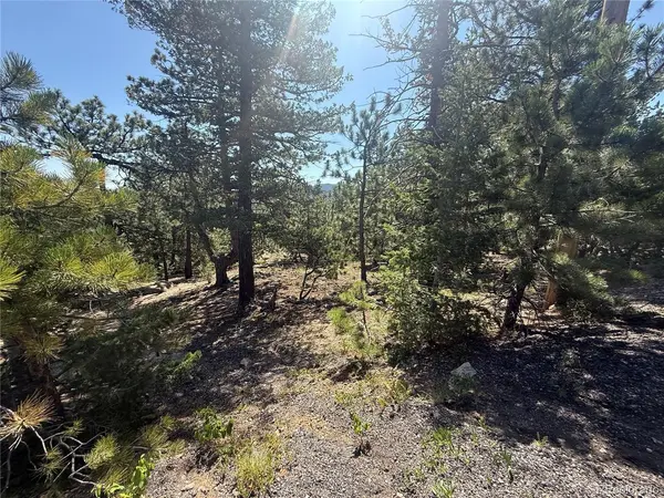 11548 Overlook, Golden, CO 80403