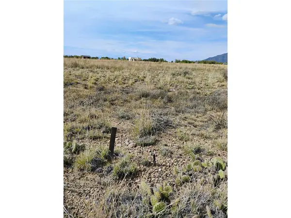 1382 Saddle Rock, Crestone, CO 81131