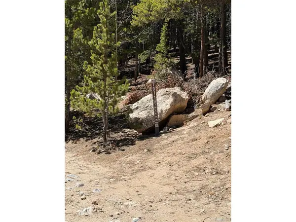 378 Alice, Idaho Springs, CO 80452