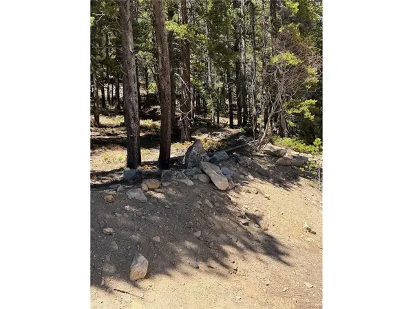 378 Alice, Idaho Springs, CO 80452
