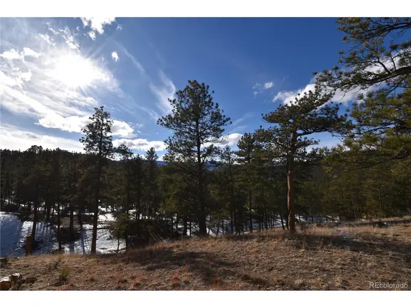 Address not disclosed, Buffalo Creek, CO 80425