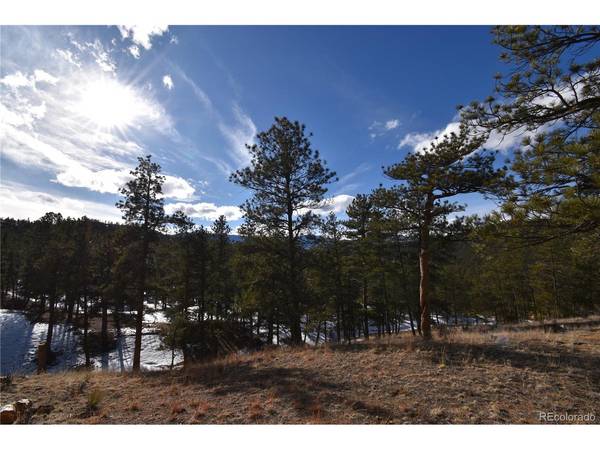 Address not disclosed, Buffalo Creek, CO 80425