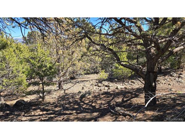 5 Lakeview, San Luis, CO 81152