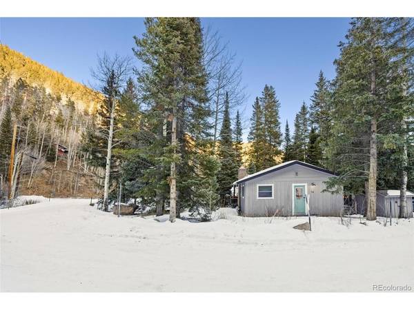 14 Moss, Dumont, CO 80436