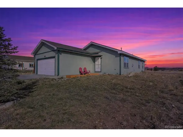 800 Trout Creek, Fairplay, CO 80440