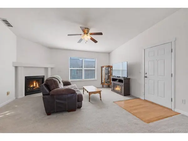 800 Trout Creek, Fairplay, CO 80440