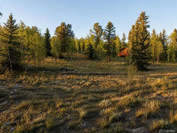445 Warpath, Como, CO 80432