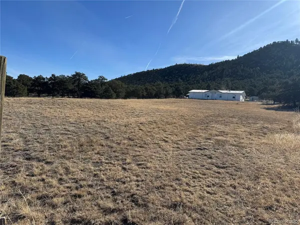 474 Deer Run, Cotopaxi, CO 81223