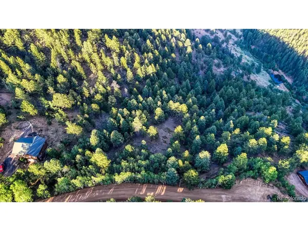 364 Blue Spruce, Divide, CO 80814