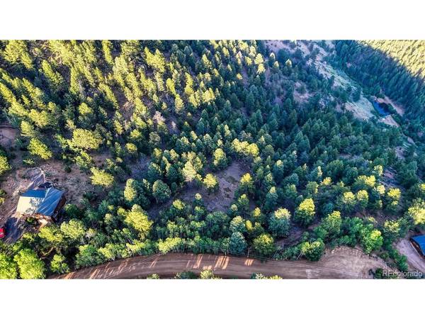 364 Blue Spruce, Divide, CO 80814