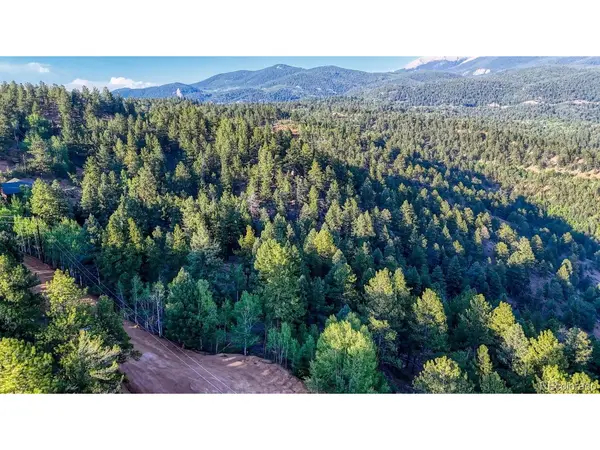364 Blue Spruce, Divide, CO 80814