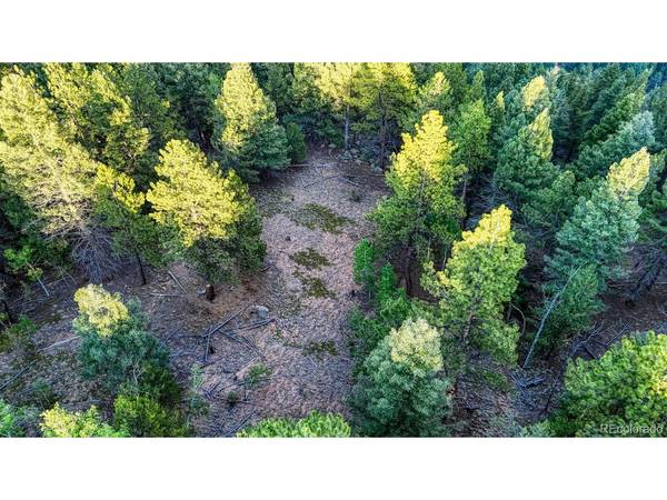 364 Blue Spruce, Divide, CO 80814