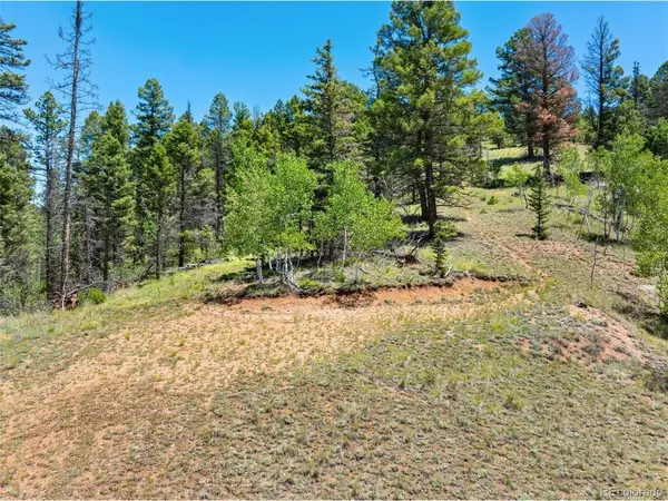 404 Morning Star Creek, Florissant, CO 80816
